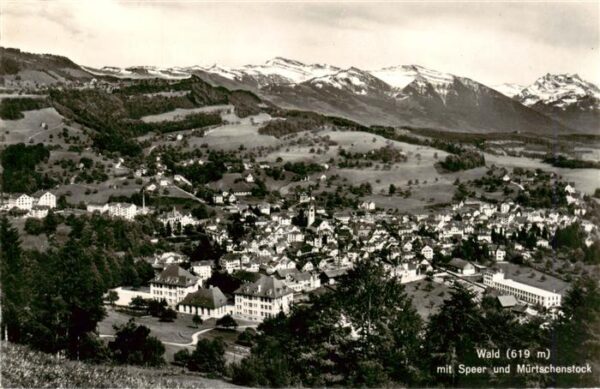 Wald  ZH Panorama Blick gegen Speer und Mürtsche