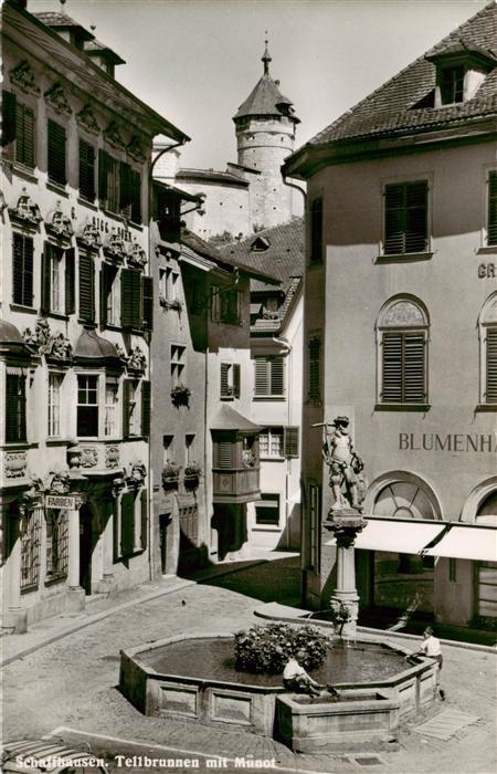 Schaffhausen  SH Tellbrunnen mit Munot