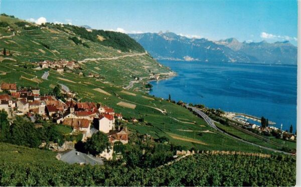 Lavaux  VD Vue panoramique du pays La Corniche Lac