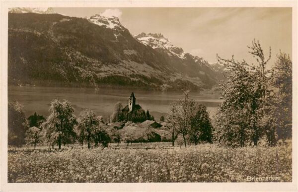 Brienz Brienzersee BE Panorama Berner Alpen