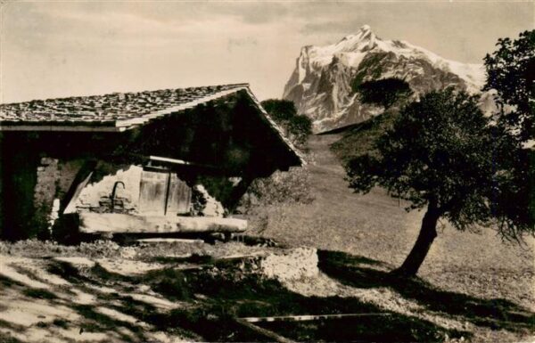 Grindelwald BE Wetterhorn Berner Alpen