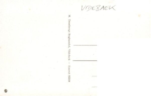 Videbaek DK Ortsstrasse – Bild 2