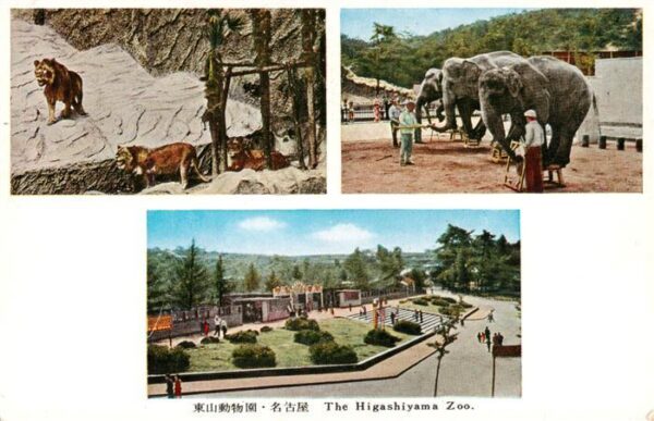 Higashiyama Japan Zoo