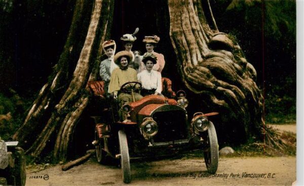 Vancouver BC Canada Automobile in the Big Cedar Stanley Park
