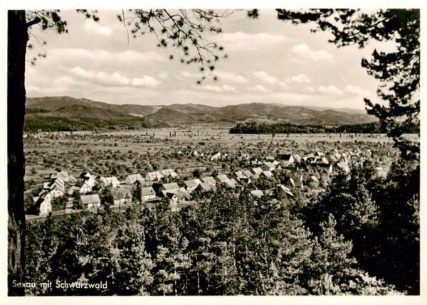 Sexau BW Panorama