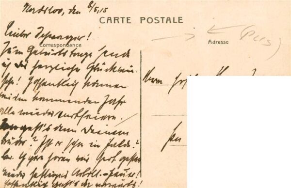 Dixmude Diksmuide Dilsmuide Belgie La Rue aux Poulets – Bild 2