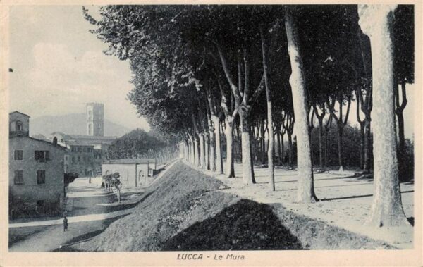 Lucca Toscana IT Le Mura