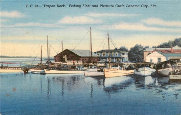 Panama City  Panama Tarpon Dock Fishing Flett and Pleasure Craft
