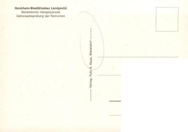 Warendorf Hengstparade Nordrhein-Westfaelisches Landgestuet – Bild 2