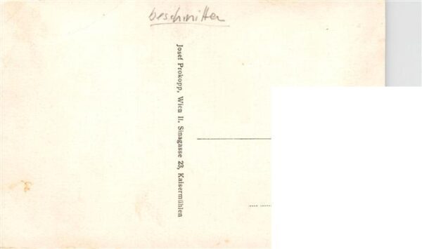 Thunau Kamptal Niederoesterreich AT Panorama – Bild 2