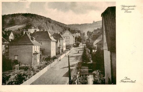 Wernigerode Harz Im Papental