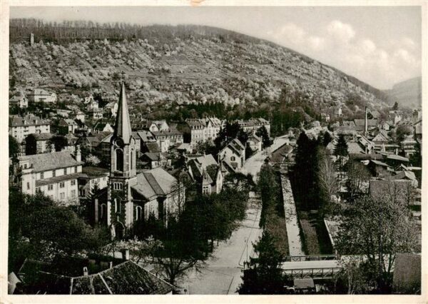 Ettlingen Panorama Blick ins Albtal