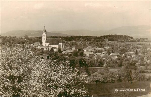 Steinakirchen Forst Niederoesterreich AT Panorama mit Kirche