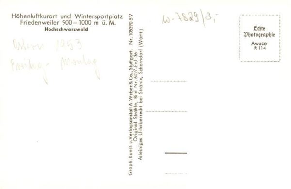 Friedenweiler Fliegeraufnahme – Bild 2