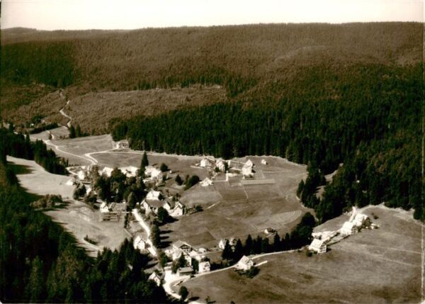 Obertal Baiersbronn Fliegeraufnahme