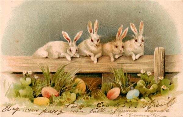 Ostern Easter Paques Pasqua Hasen