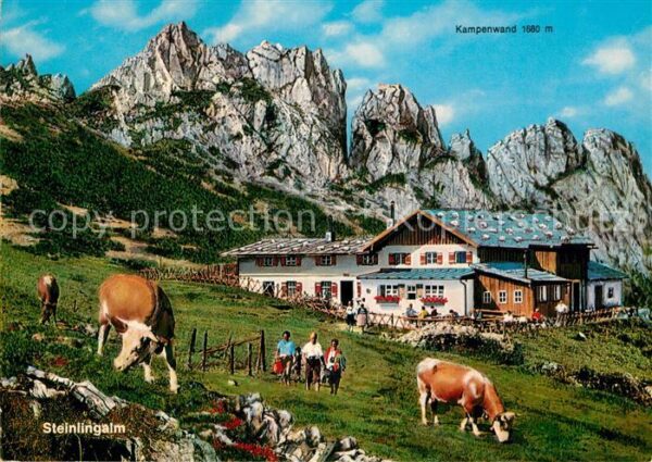 Aschau Chiemgau Steinlingalm mit Kampenwand Kühe