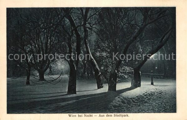 Wien Stadtpark im Winter bei Nacht