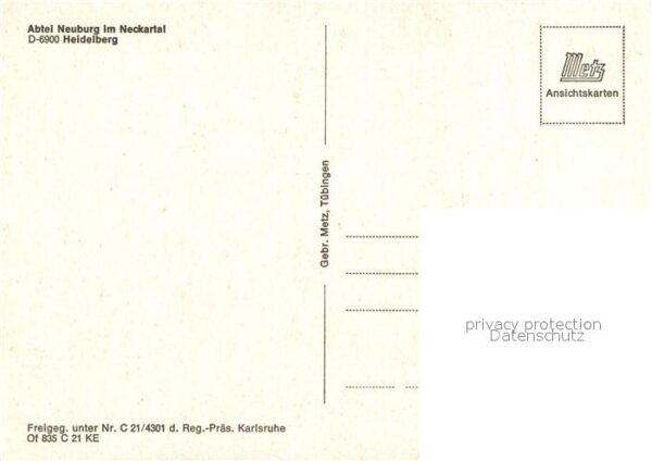 Heidelberg Neckar Abtei Neuburg Fliegeraufnahme – Bild 2