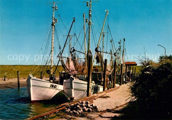 St Peter-Ording Krabbenkutter im Tümlauer Koog