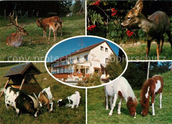 Lenzkirch Tiergehege Haus Dorothea