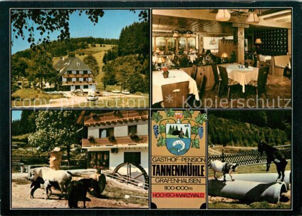 Grafenhausen Schwarzwald Gasthaus-Pension Tannenmühle