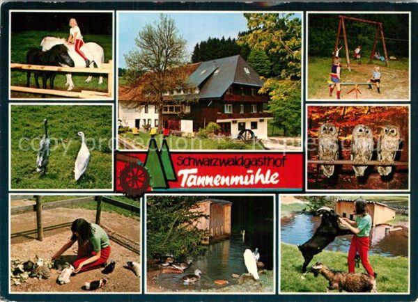 Grafenhausen Schwarzwald Schwarzwaldgasthof Tannenmühle