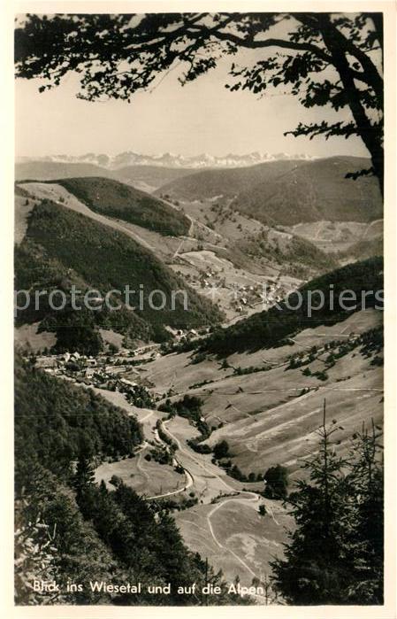 Todtnau Blick in das Wiesental