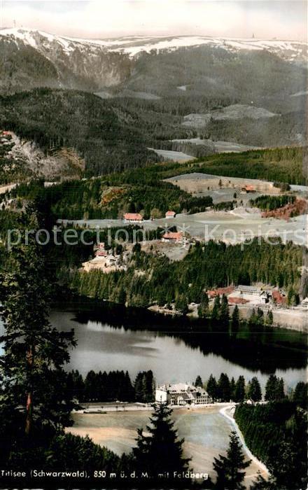 Titisee Panorama