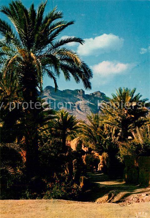 Marokko Maroc Vallee du Draa