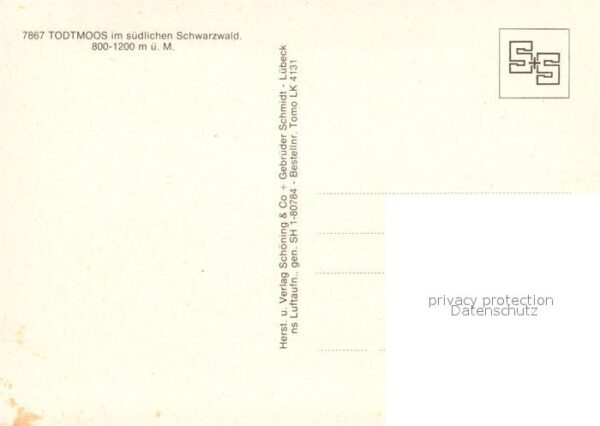 Todtmoos Fliegeraufnahme – Bild 2