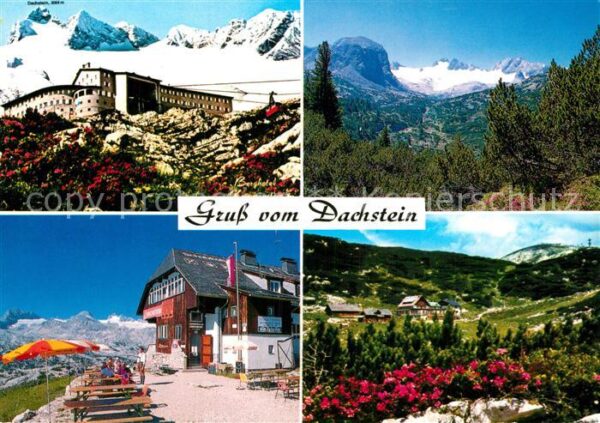 Dachstein Gebirge Berghotel Krippenstein Gjaidalm Schutzh