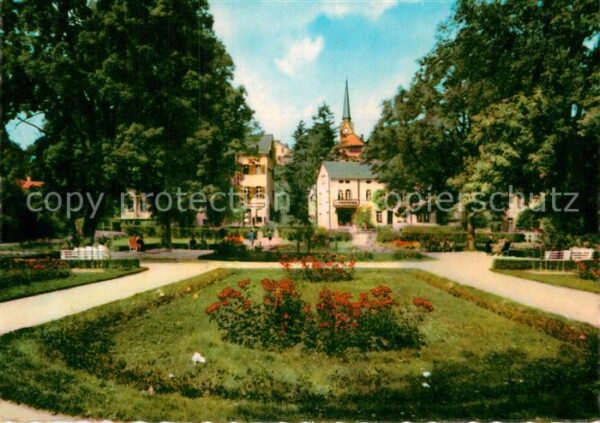 Bad Elster Rosengarten