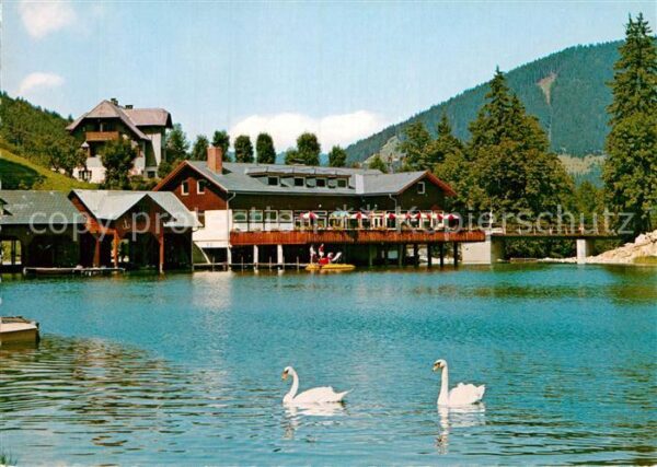 Lunz See Niederoesterreich Grubmayrs Seeterrasse Lunzersee
