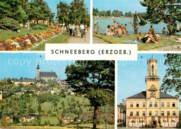 Schneeberg Erzgebirge Promenade Filzteich Kirche Rathaus