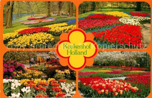 Leiden Keukenhof Tulpen