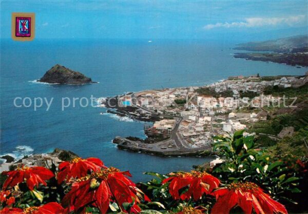 Garachico Panorama