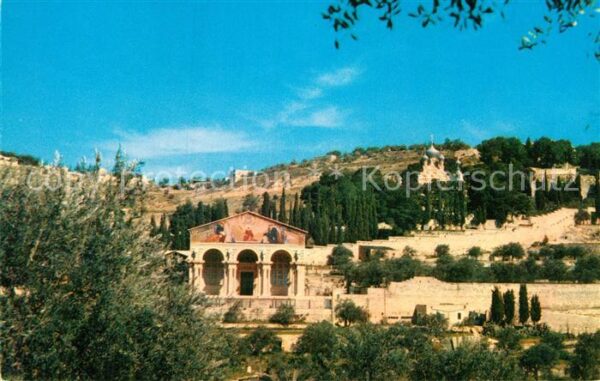 Jerusalem Yerushalayim Basilica Agony Garden Gethsemane