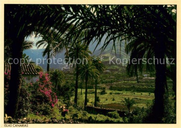 Islas Canarias
