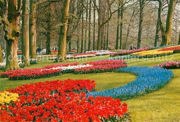 Lisse Keukenhof