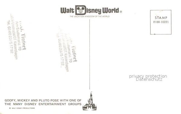 Walt Disney World Goofy Mickey Pluto – Bild 2