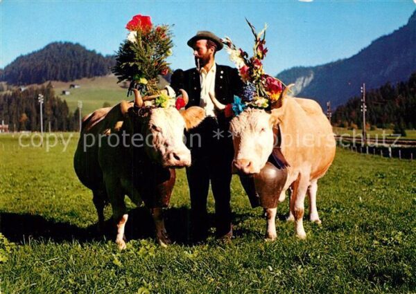Kuehe Alpaufzug Schweiz