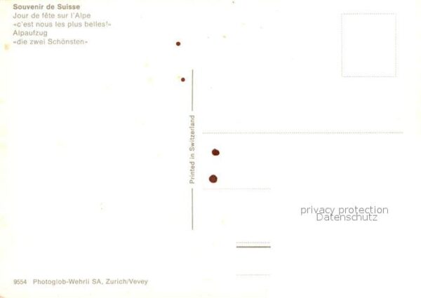 Kuehe Alpaufzug Schweiz – Bild 2
