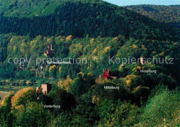 Neckarsteinach Schwalbennest Hinterburg Mittelburg Vor