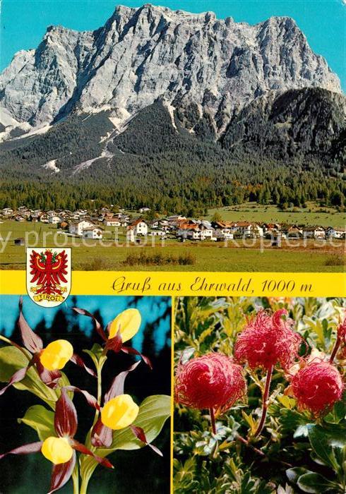 Ehrwald Tirol Zugspitzmassiv