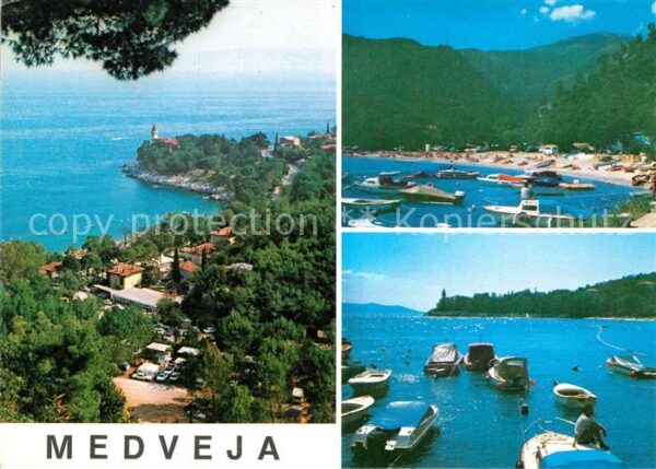 Medveja