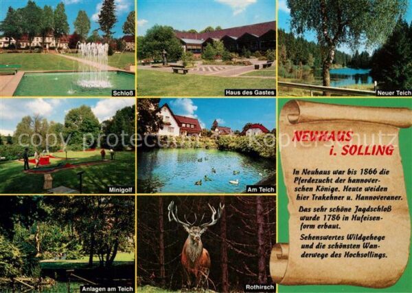 Neuhaus Solling Schloss Minigolf Rothirsch Haus des Gas