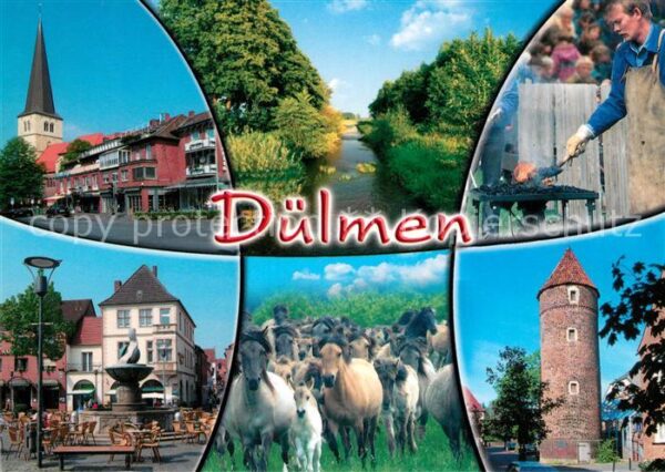 Duelmen Brunnen Turm Grillplatz Pferde Marktpla