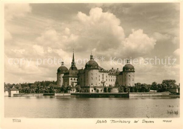 Foto Hahn Nr. 10995 Schloss Moritzburg Dresden