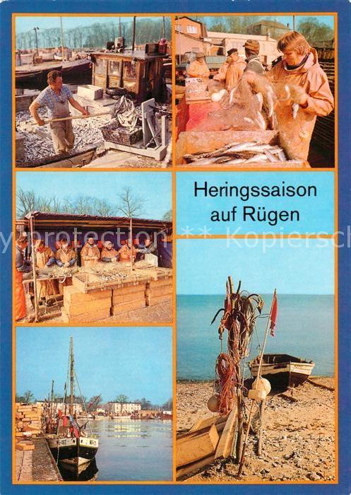 Fischerei Heringssaison Rügen